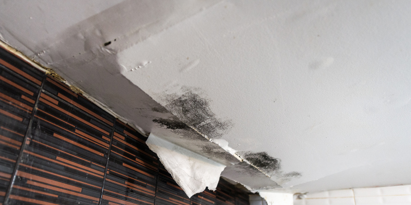 Ceiling Water Damage Repair in Oviedo, Florida