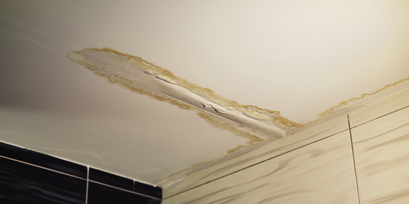 How to Tell if You Need Ceiling Water Damage Repair Services