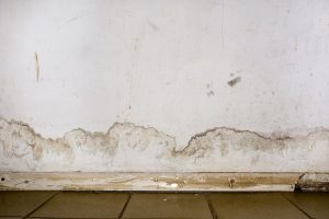 How Does Drywall Water Damage Repair Work?