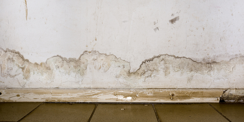 How Does Drywall Water Damage Repair Work? 