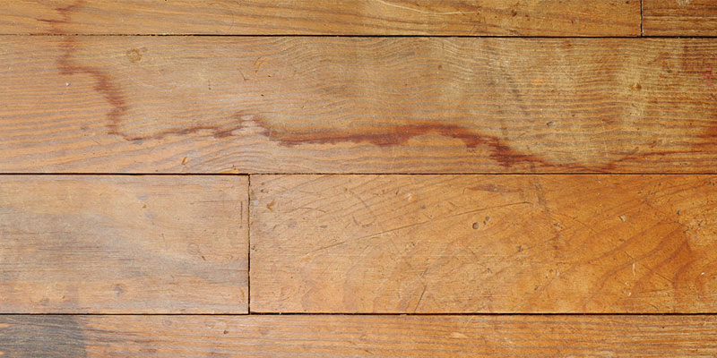 Signs That You Need Floor Water Damage Repair