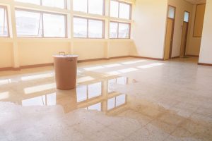 What Does the Water Damage Restoration Process Look Like?