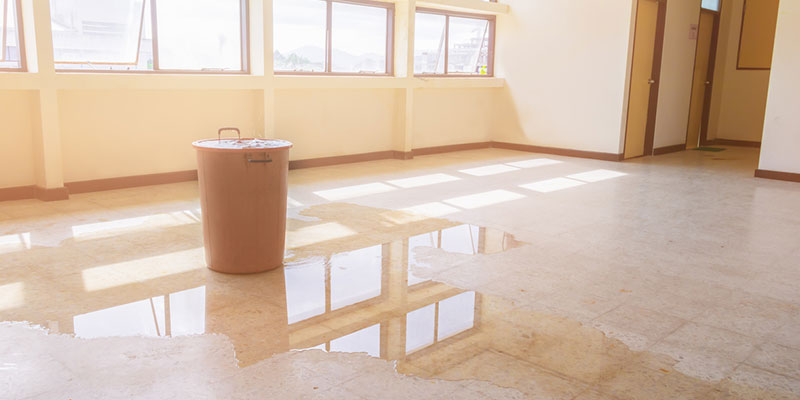 What Does the Water Damage Restoration Process Look Like?